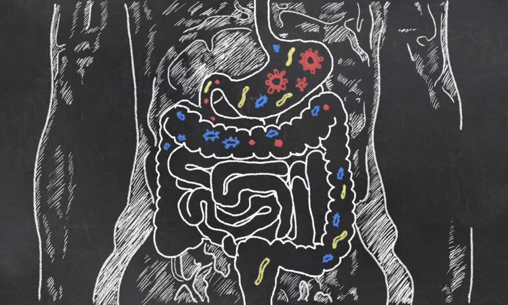 Gut Microbiome