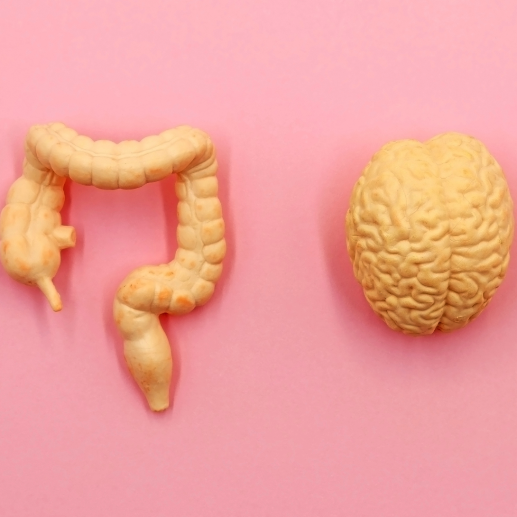 Microbiota in Endocrine