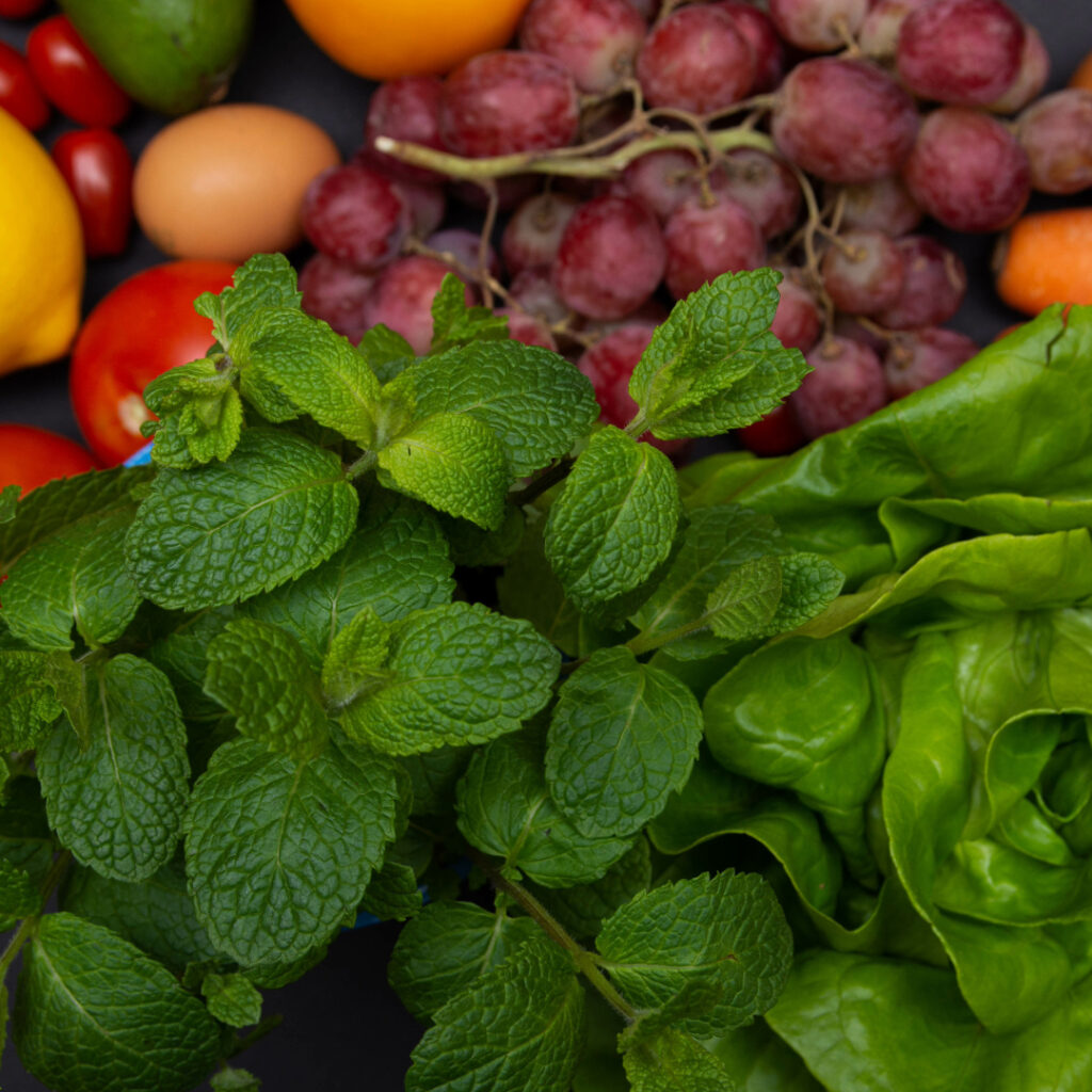 FODMAPs, Fermentation, and Digestive Health: Balancing Gut